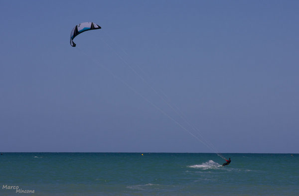 _MG_1403.jpg